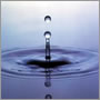 Regenwassernutzung 